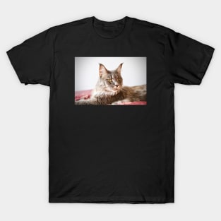 Maine Coon 2 T-Shirt